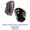 Outlet 🧨 Discount - Wilson September 2013 Glove of the Month 12.75" 1799SS Model SOLDOUT ⌛