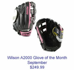 Outlet 🧨 Discount - Wilson September 2013 Glove of the Month 12.75" 1799SS Model SOLDOUT ⌛