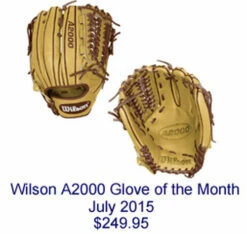Cheapest 🛒 Discount - Wilson July 2015 Glove of the Month 11.75" D33 Model SOLDOUT 🤩