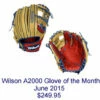 Outlet ⌛ Discount - Wilson June 2015 Glove of the Month 11.25" 1788 Model SOLDOUT ⭐