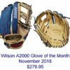 Coupon 🔥 Discount - Wilson November 2018 Glove of the Month 1785 Model SOLDOUT ✨