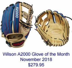 Coupon 🔥 Discount - Wilson November 2018 Glove of the Month 1785 Model SOLDOUT ✨