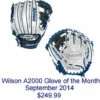Buy 🔥 Discount - Wilson September 2014 Glove of the Month 11.25" 1788 Model SOLDOUT 🤩